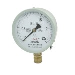 0-2.5MPa 1/2" NPT Thread Round Face Water Air Pressure Gauge