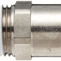 Legris 3175 56 14 Nickel-Plated Brass Push-to-Connect Fitting, Inline Connector, 1/4" Tube OD x 1/4" NPT Male